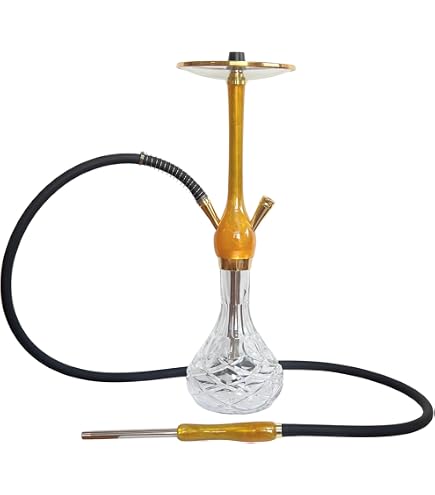 Amazon.co.jp: 【SHISHA MART】シーシャ 本体 28㎝ | ステンレス製